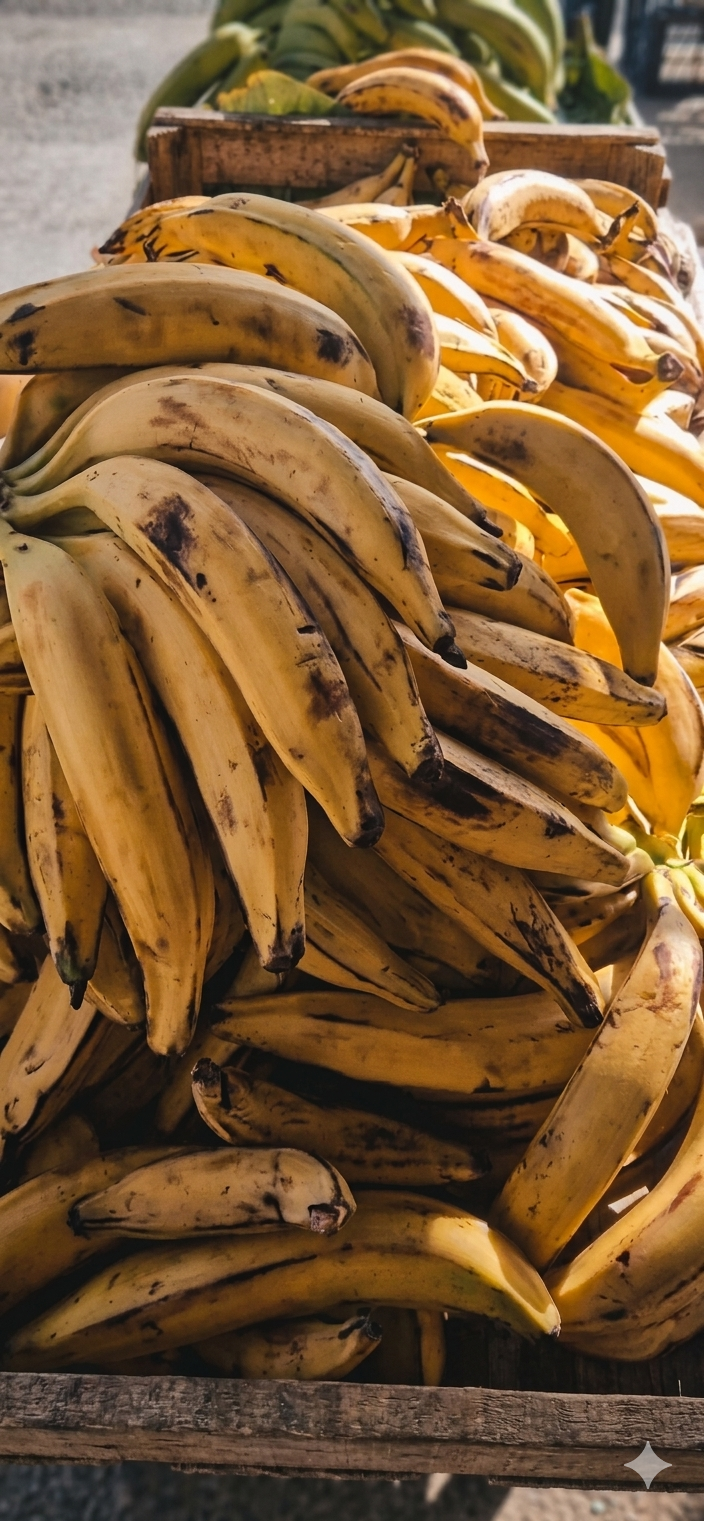 Banane plantain – le kg