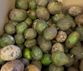 Prune de cythère – le kg