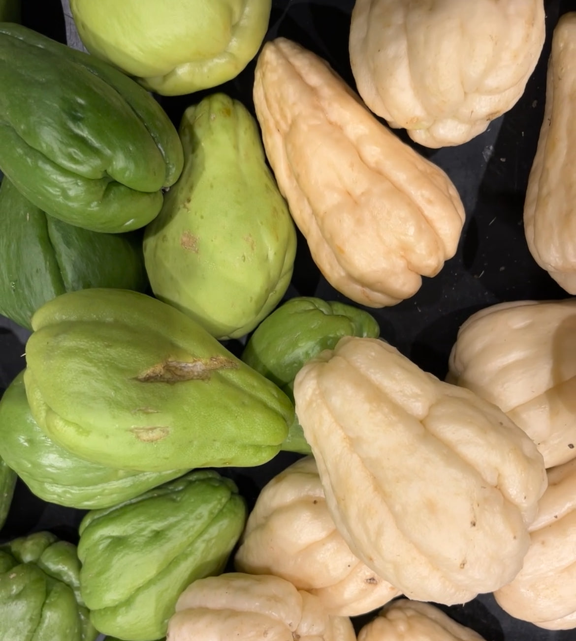 Christophine (chayote) – le kg