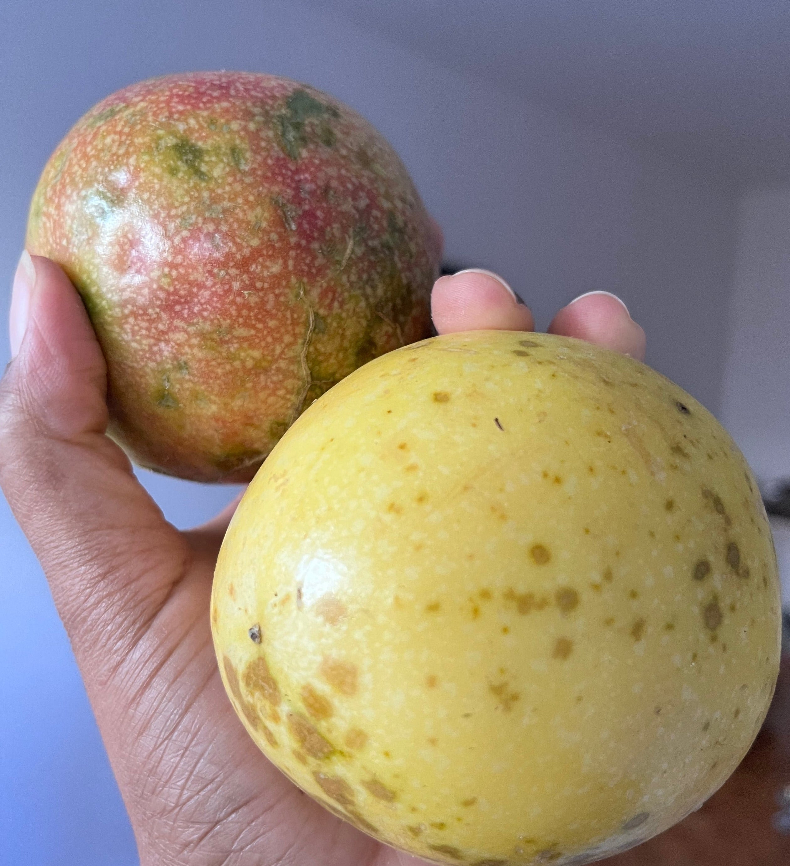 Fruit de la passion (maracudja) – par lot